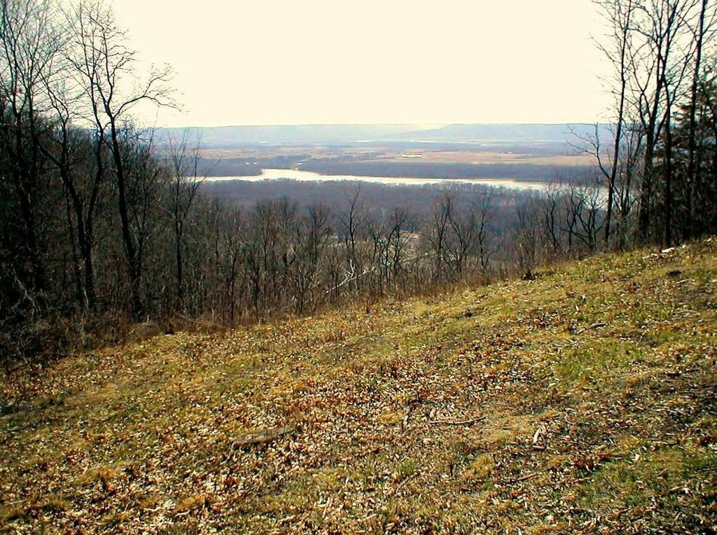 Picture 3