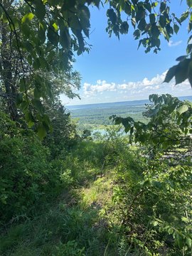 Alma Hills Lots with River Views
