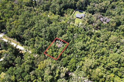 Land, OCALA, FL