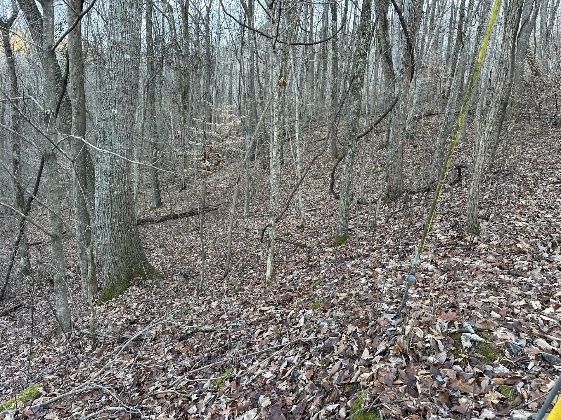 Pikeville, TN Land with Views