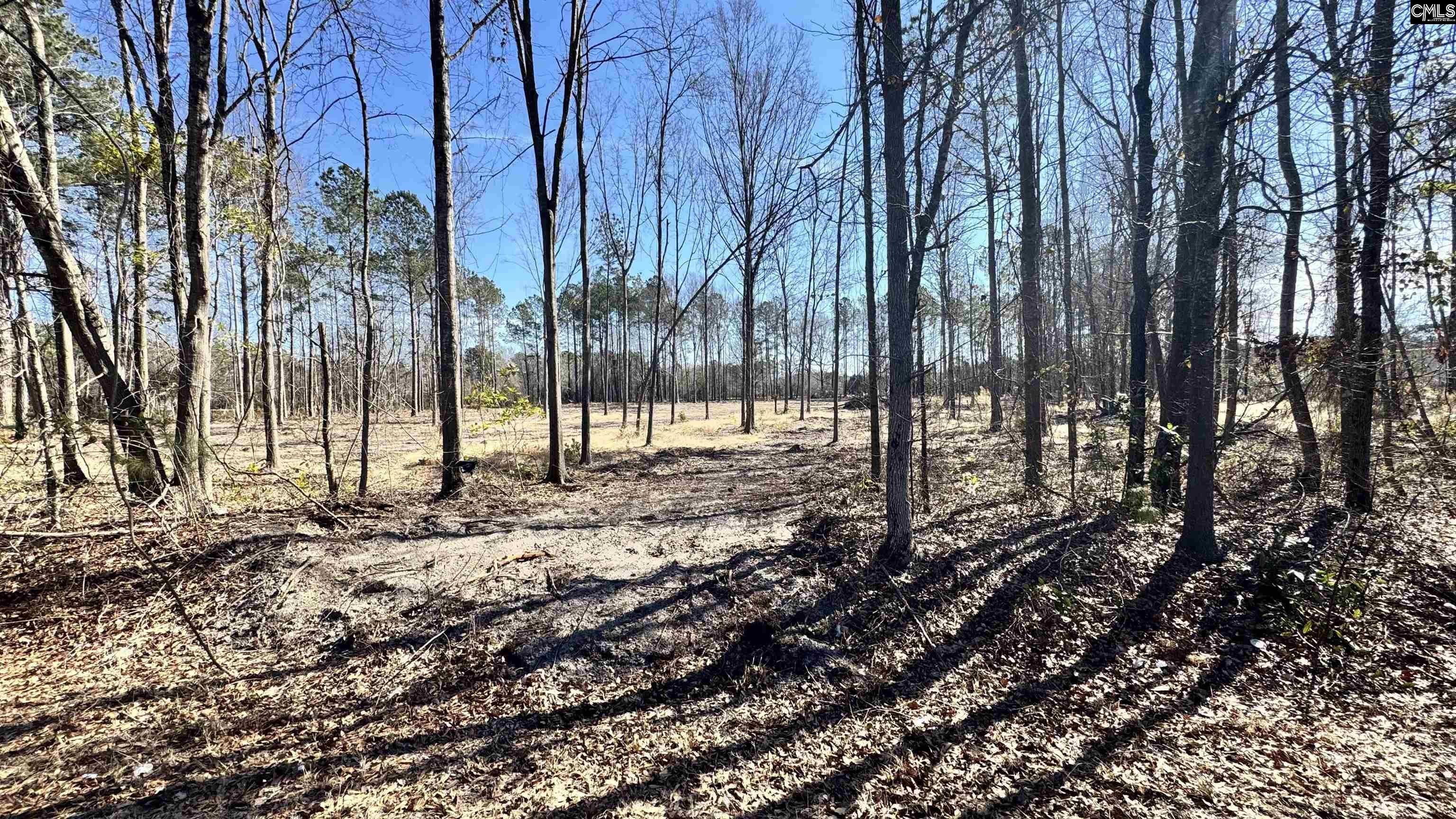 Residential Lot in Cassatt, SC