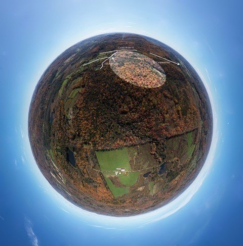 Picture 2
