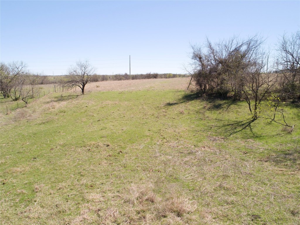 Picture 13