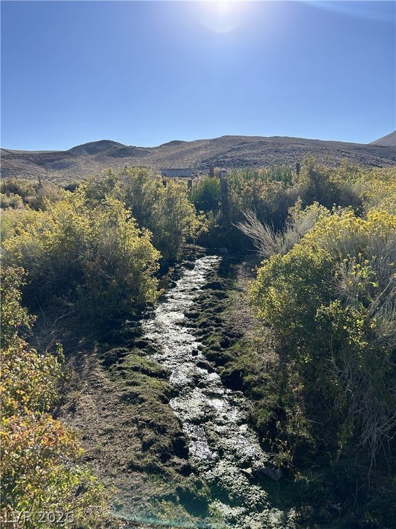 Picture 23