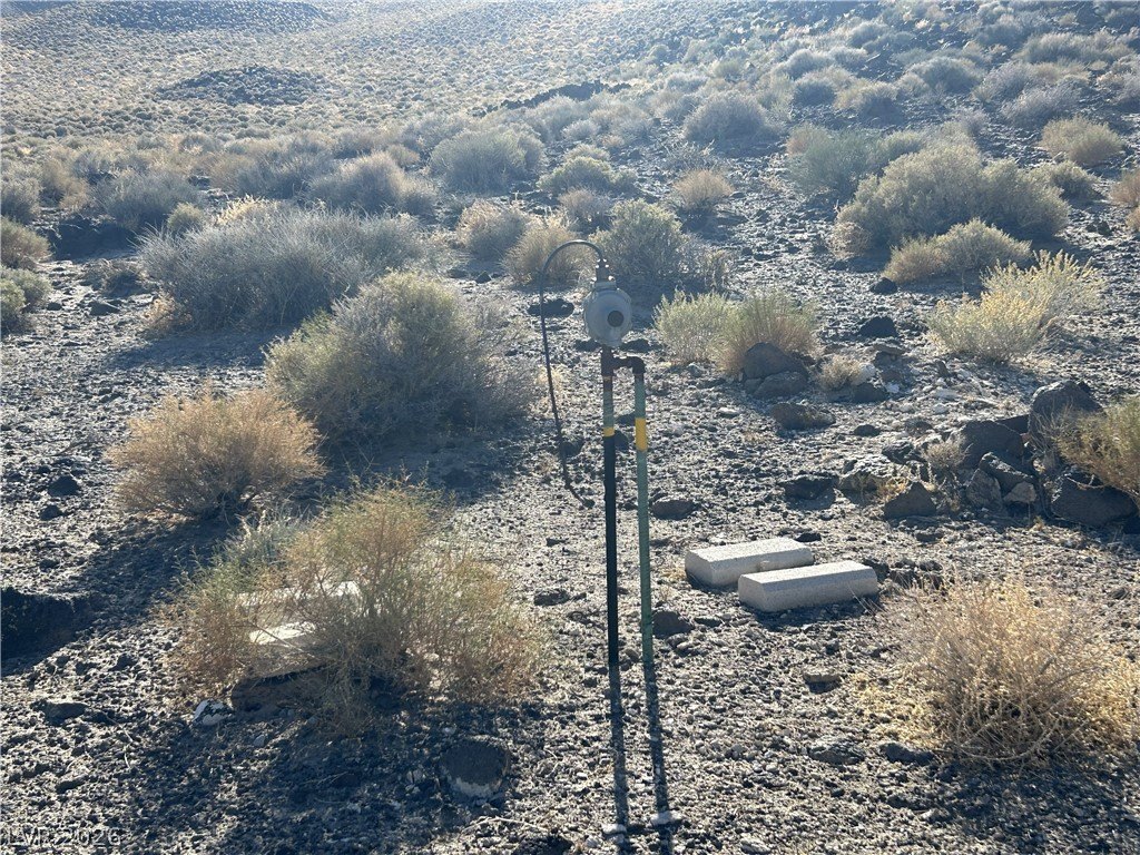 Picture 12
