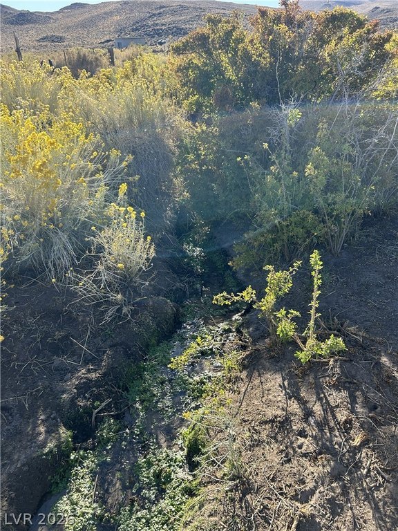 Picture 19