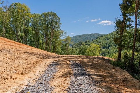 24.8 Acres in Bastian, VA