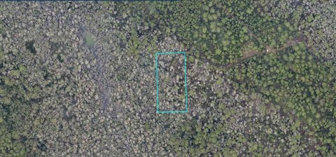 Land, LAKE HELEN, FL