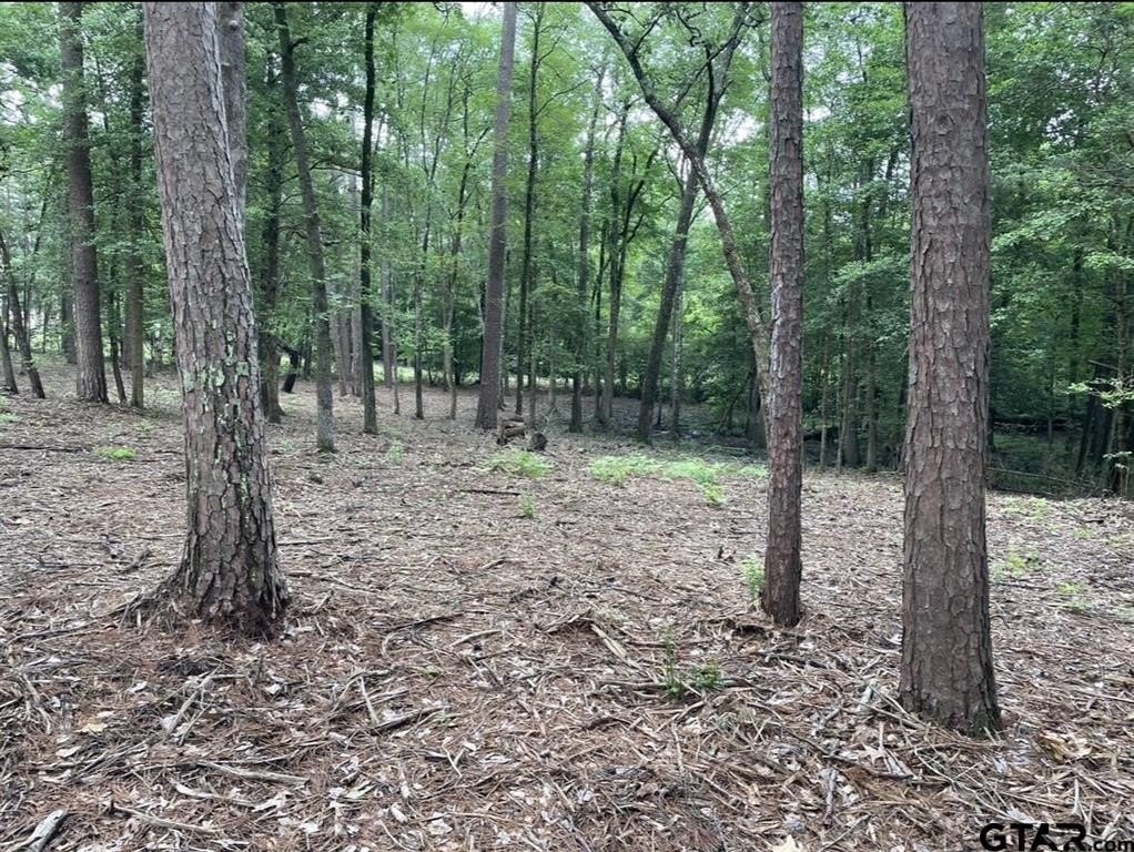 Picture 11