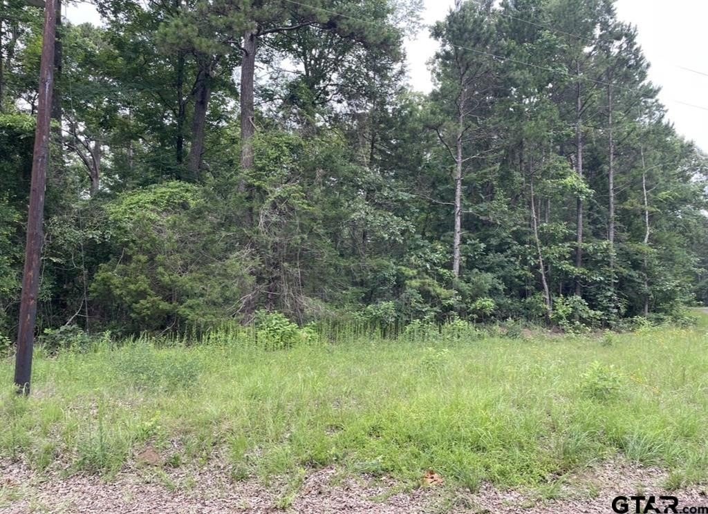 Picture 6