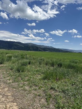 Residential Land Parcel with Utilities