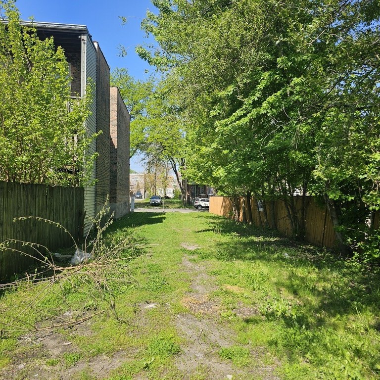 Picture 3