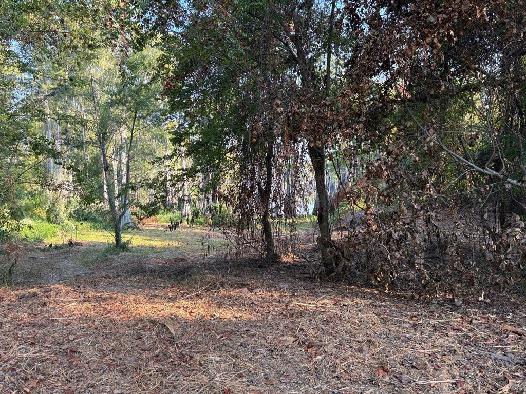 Picture 14