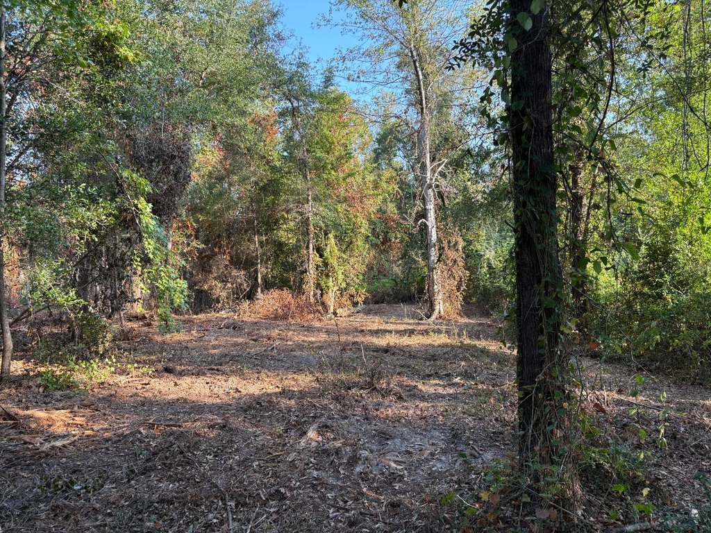 Picture 22