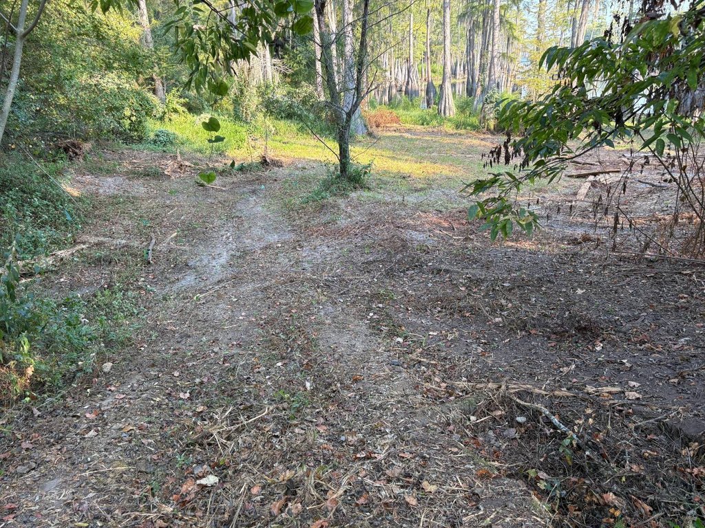 Picture 16