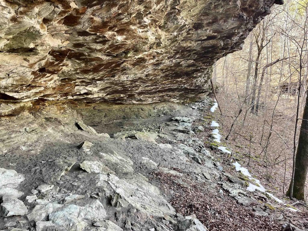 Picture 25