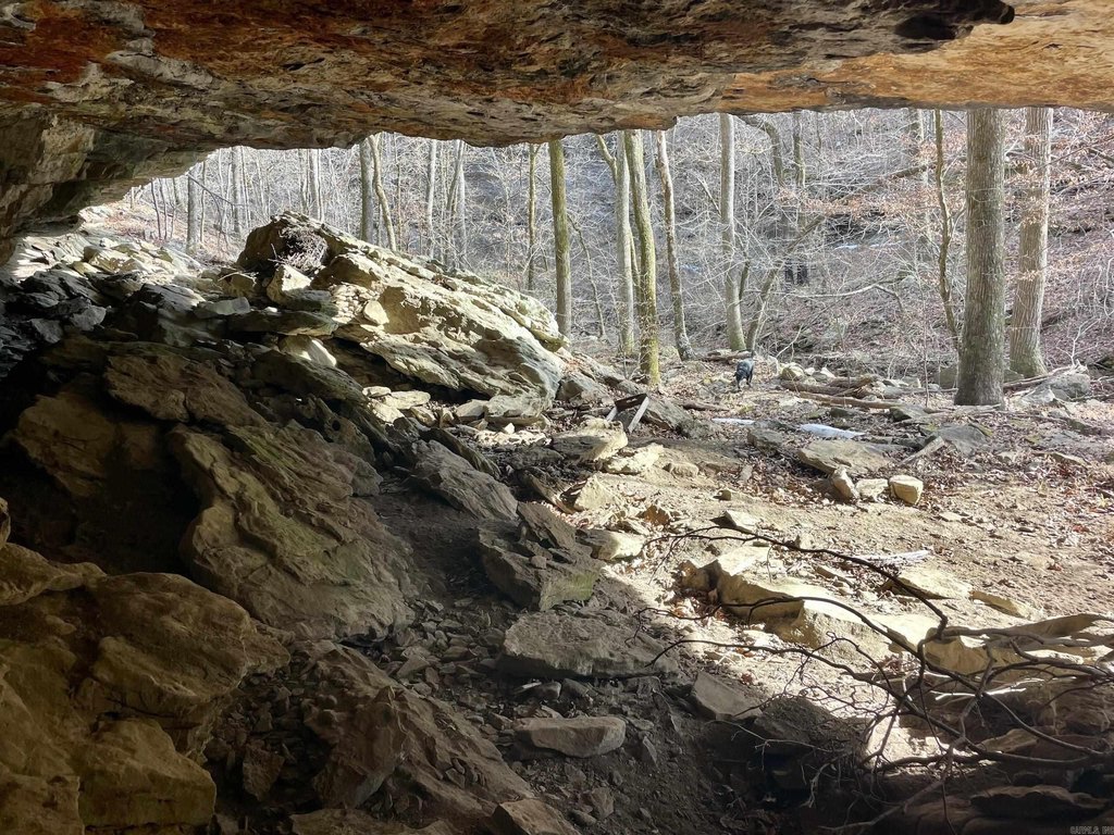Picture 18