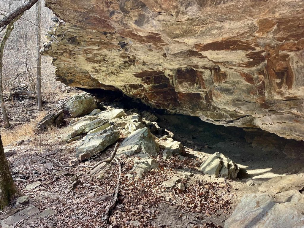 Picture 14