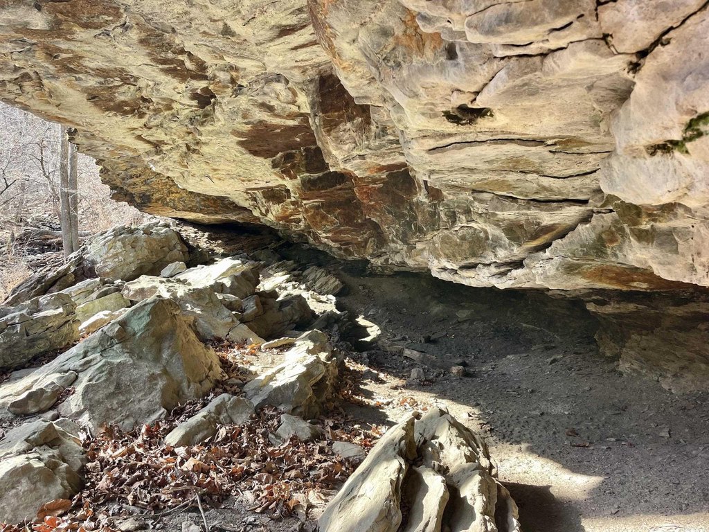 Picture 15