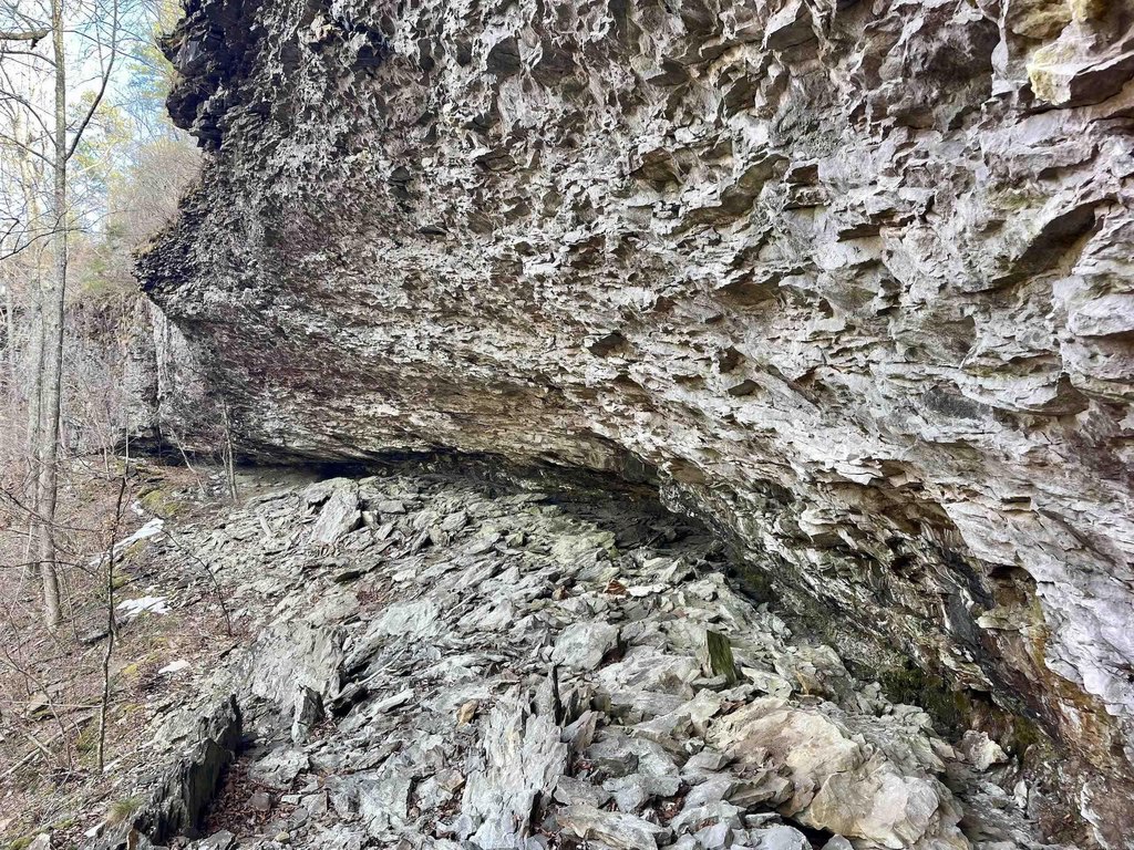 Picture 27