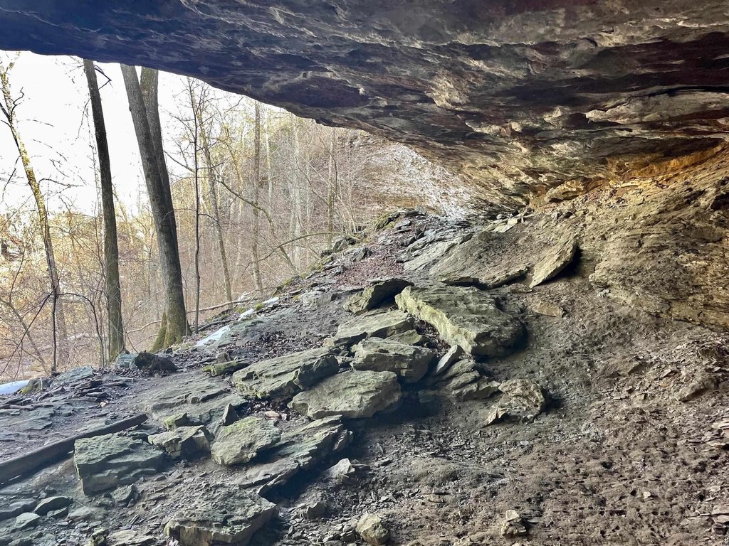 Picture 24