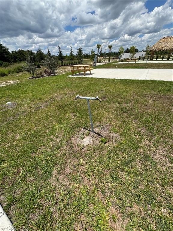 Picture 9