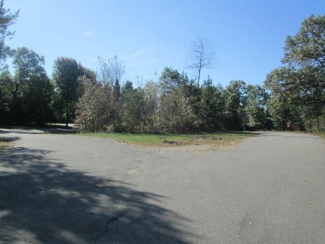 Picture 10