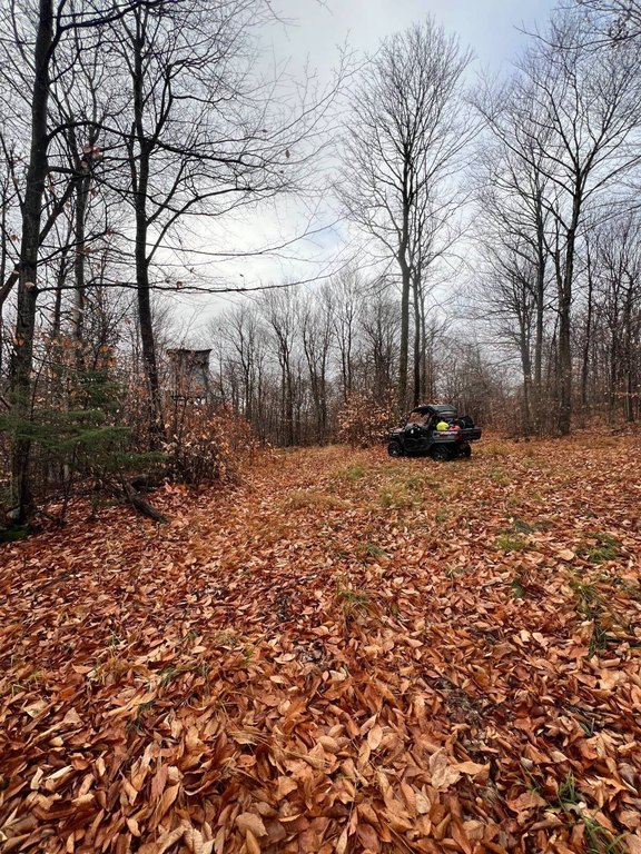 Picture 17