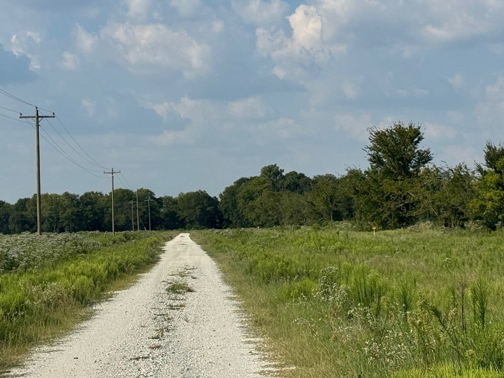 Picture 4