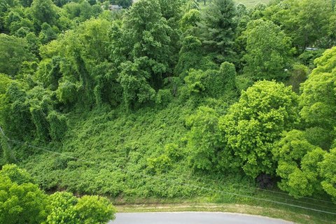 LAND - Marion, VA