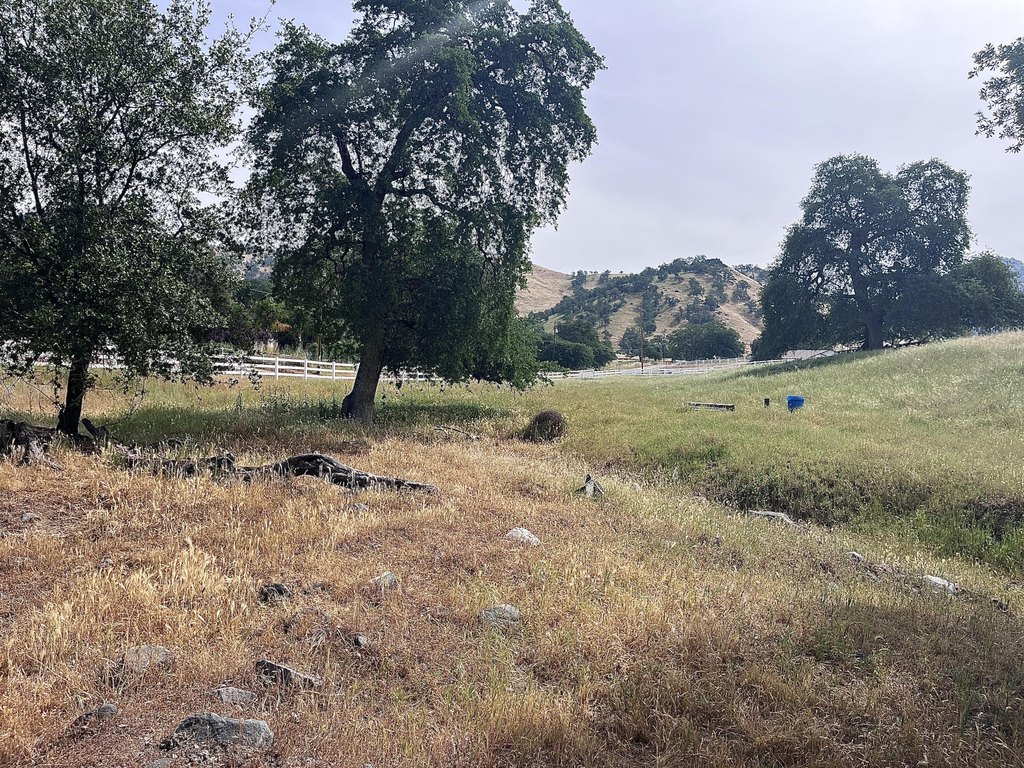 Picture 26
