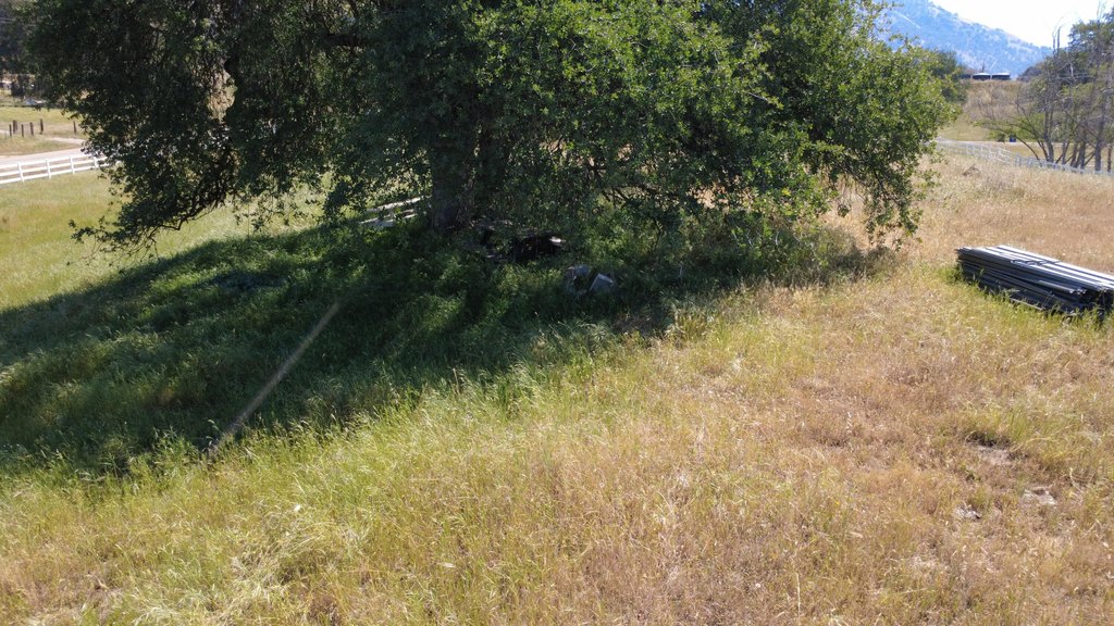 Picture 23