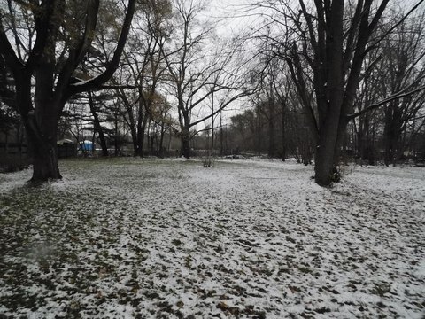 LAND - SPARTA, MI