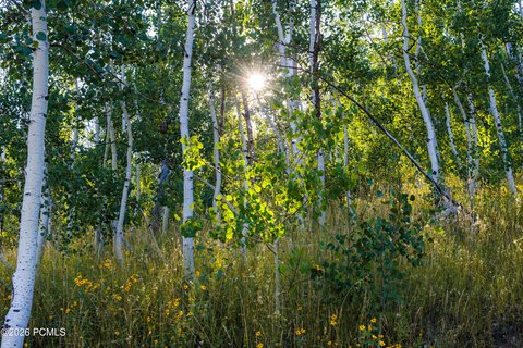 Land, Coalville, UT