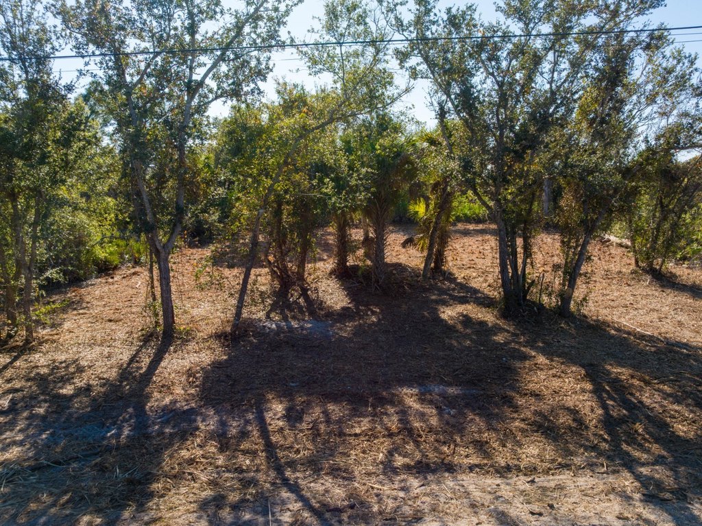 Picture 12