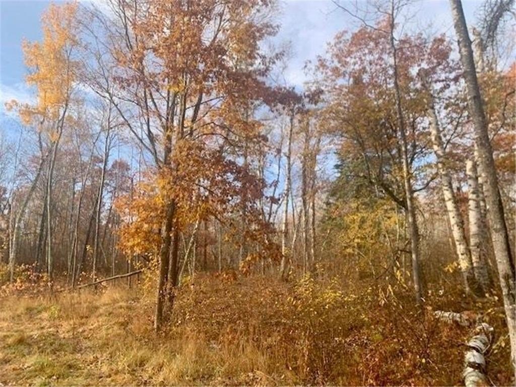 Picture 15