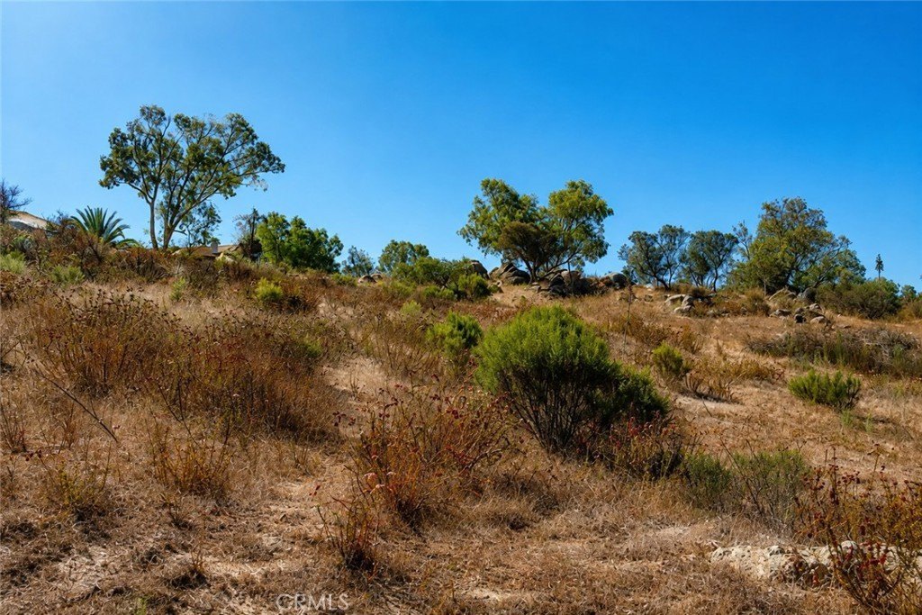 Picture 27