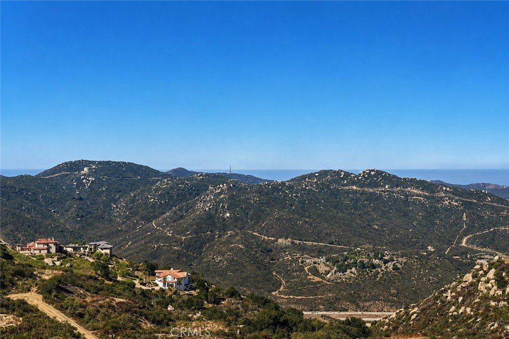 Picture 29