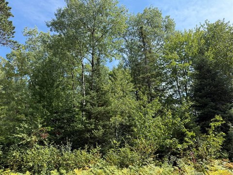 Land, Cable, WI