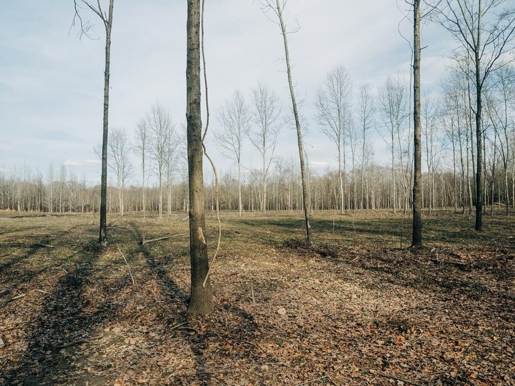 Picture 28