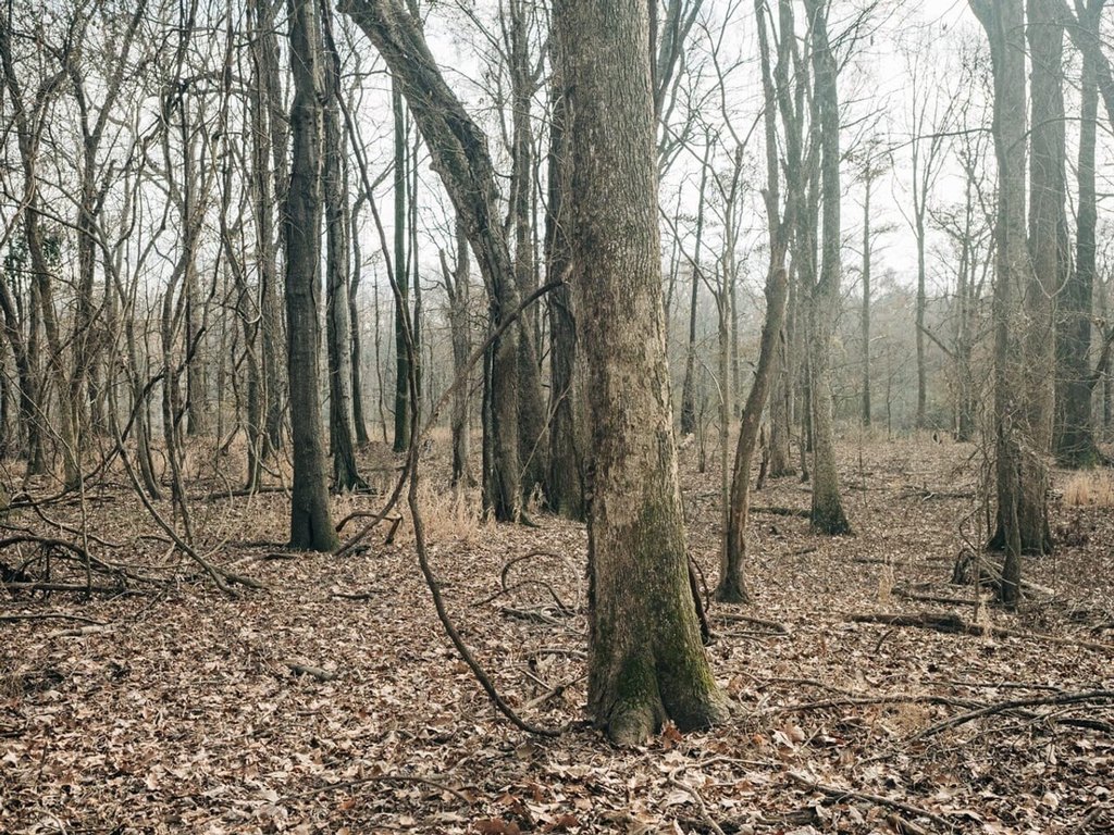 Picture 21