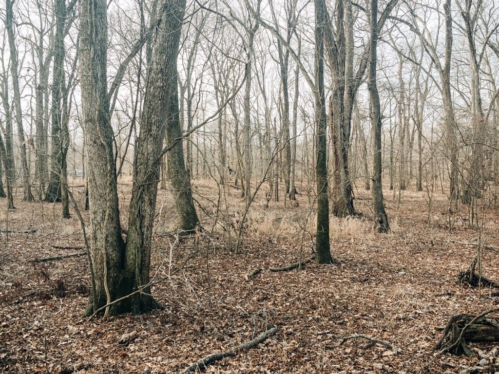 Picture 19