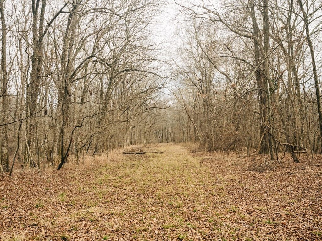 Picture 27