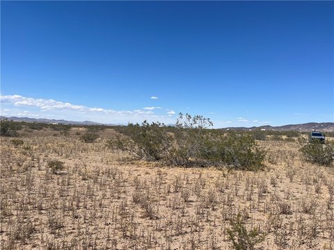 Dolan Springs Land For Sale
