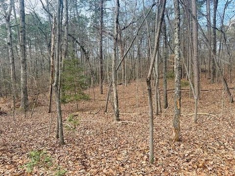 Wooded Lot in Quaint Community