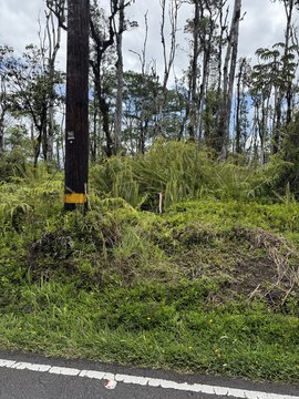 Kurtistown Land on Paved Road