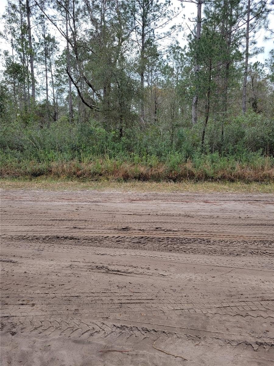 Land Near St. Augustine