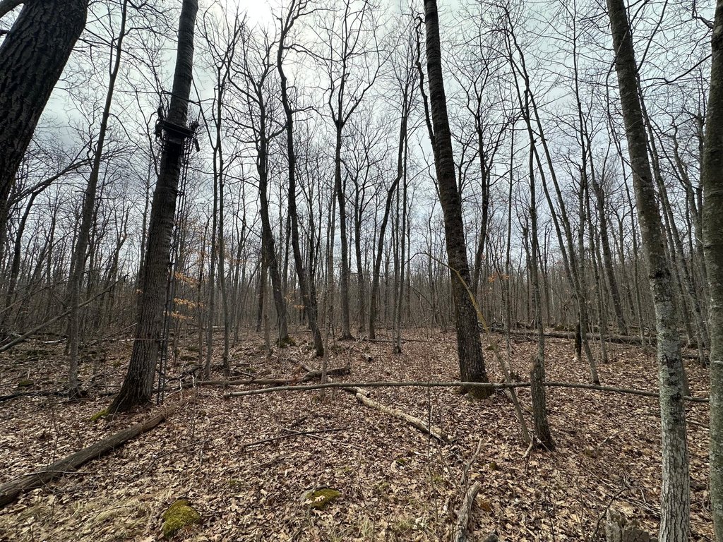Picture 10