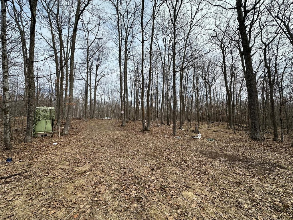 Picture 14