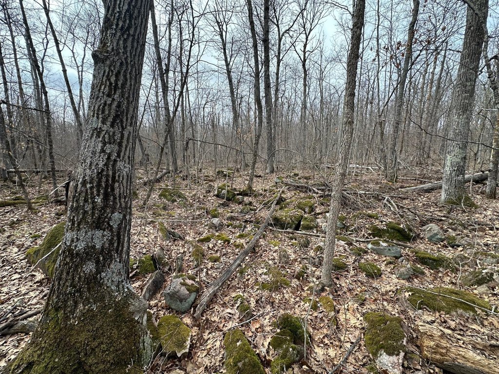 Picture 12